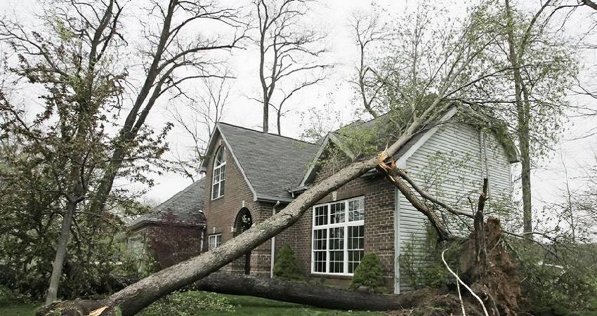 10064emergency1.jpg